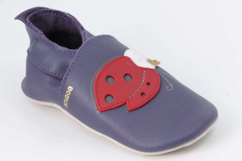 Ladybird / Marienkäfer rot / blau