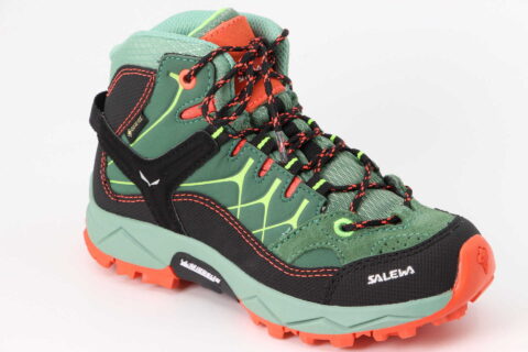 Junior Alptrainer Mid GTX myrtle / tender shot