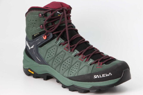 WS Alptrainer 2 Mid GTX duck green