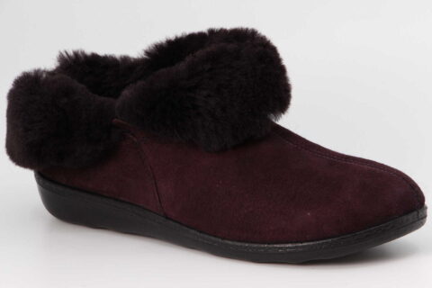 Avignon 102 aubergin