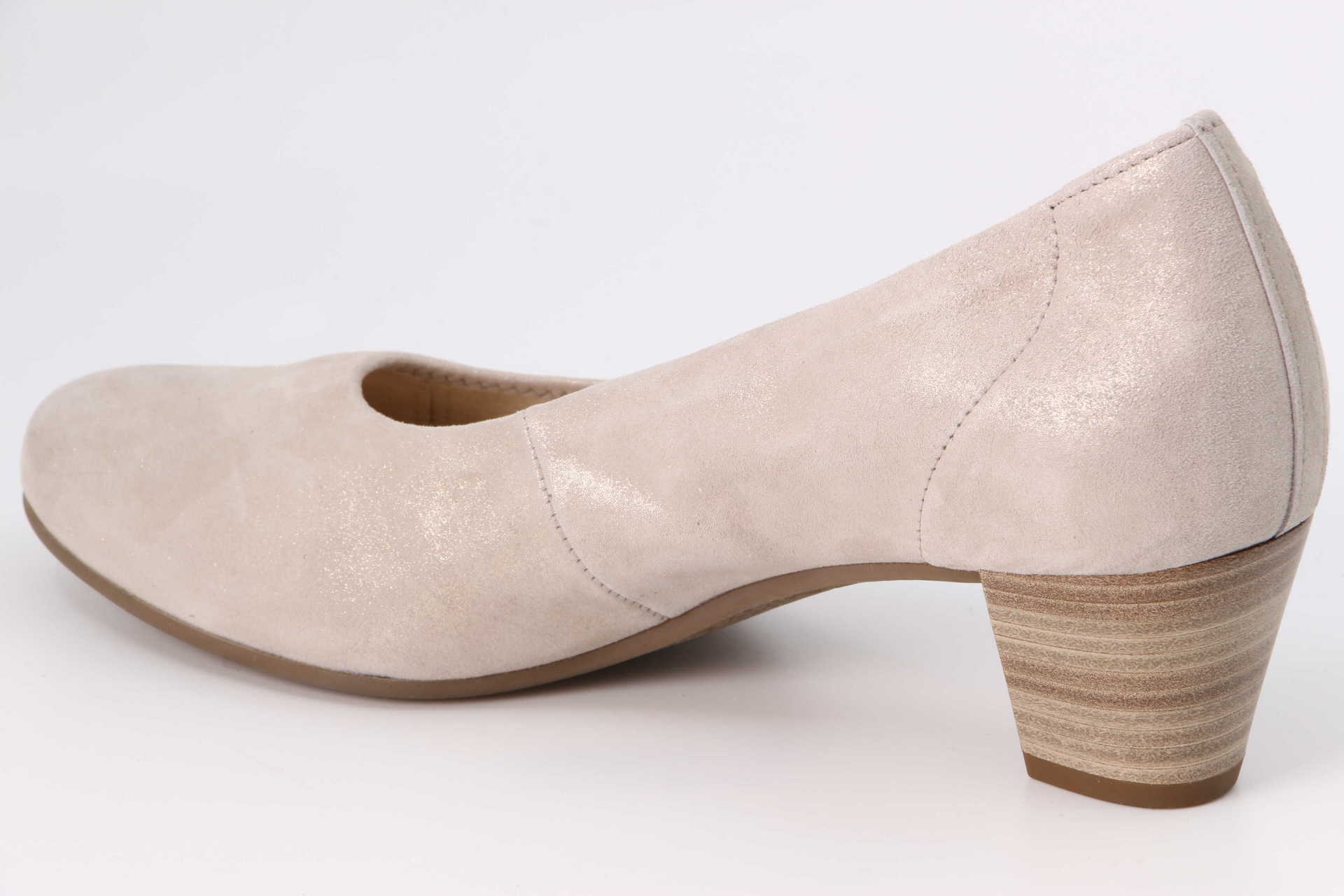 Palma muschel – Bild 2