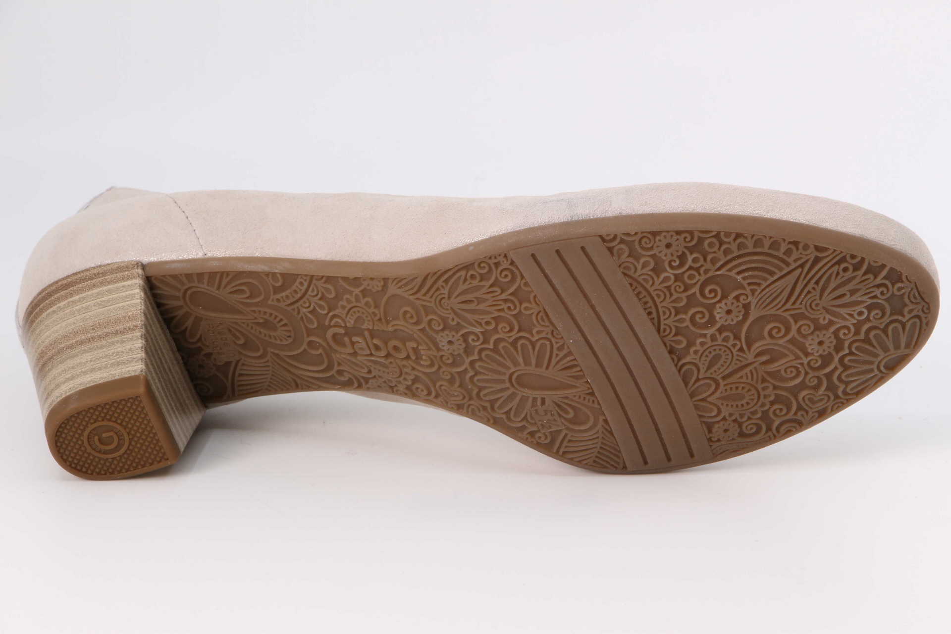 Palma muschel – Bild 3