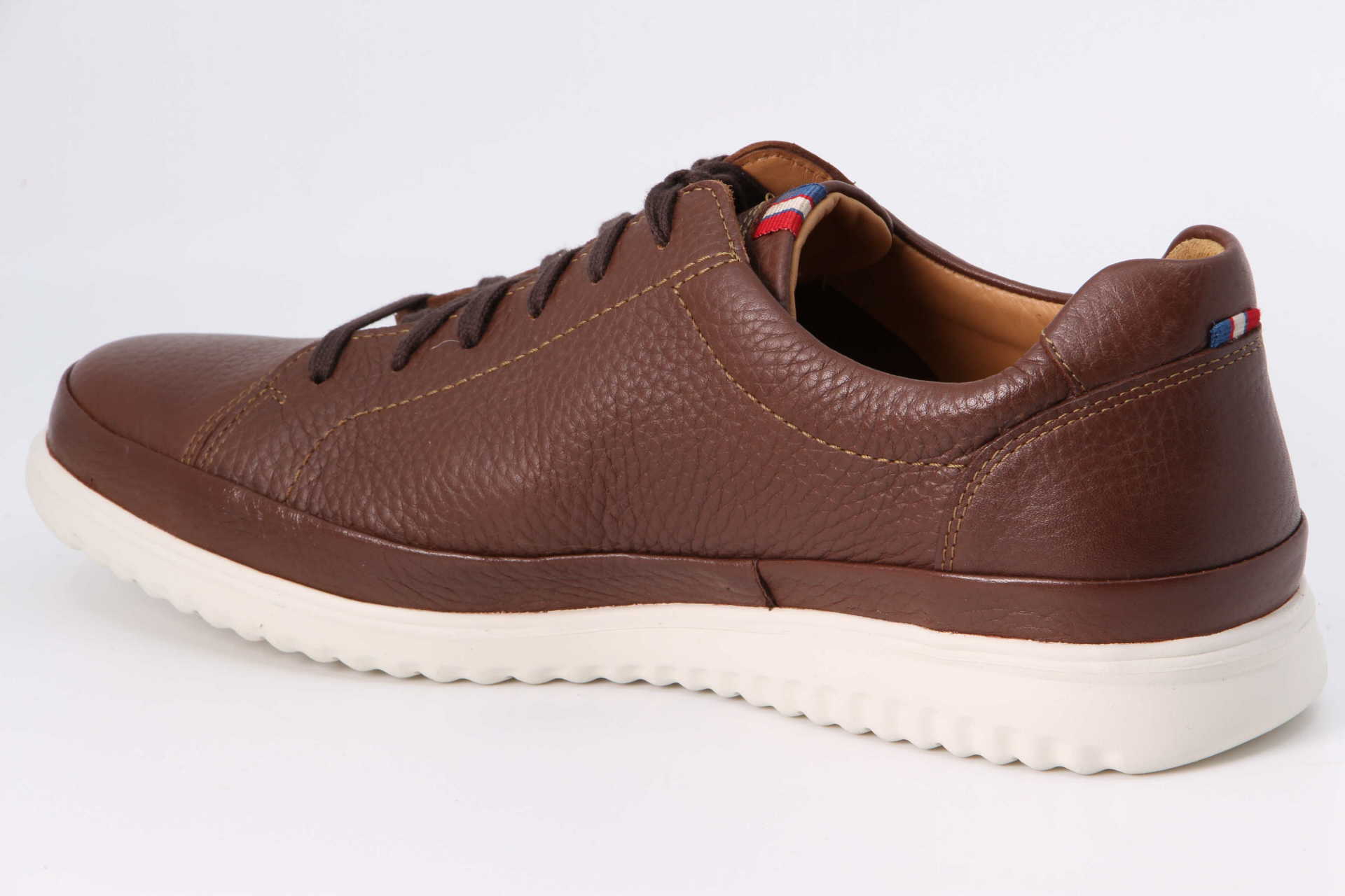 Thomas hazelnut – Bild 2