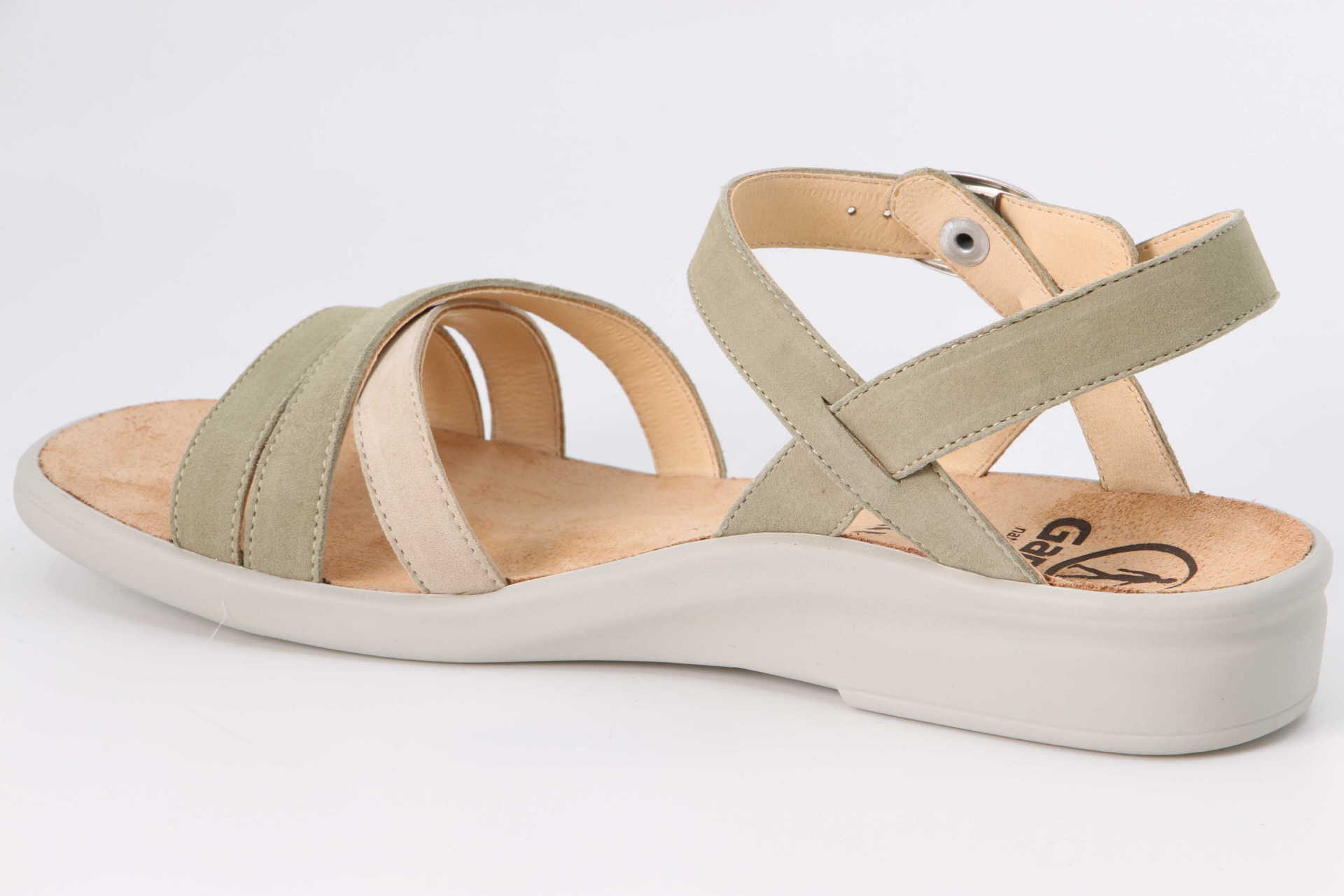 Sonnica salbei – Bild 2