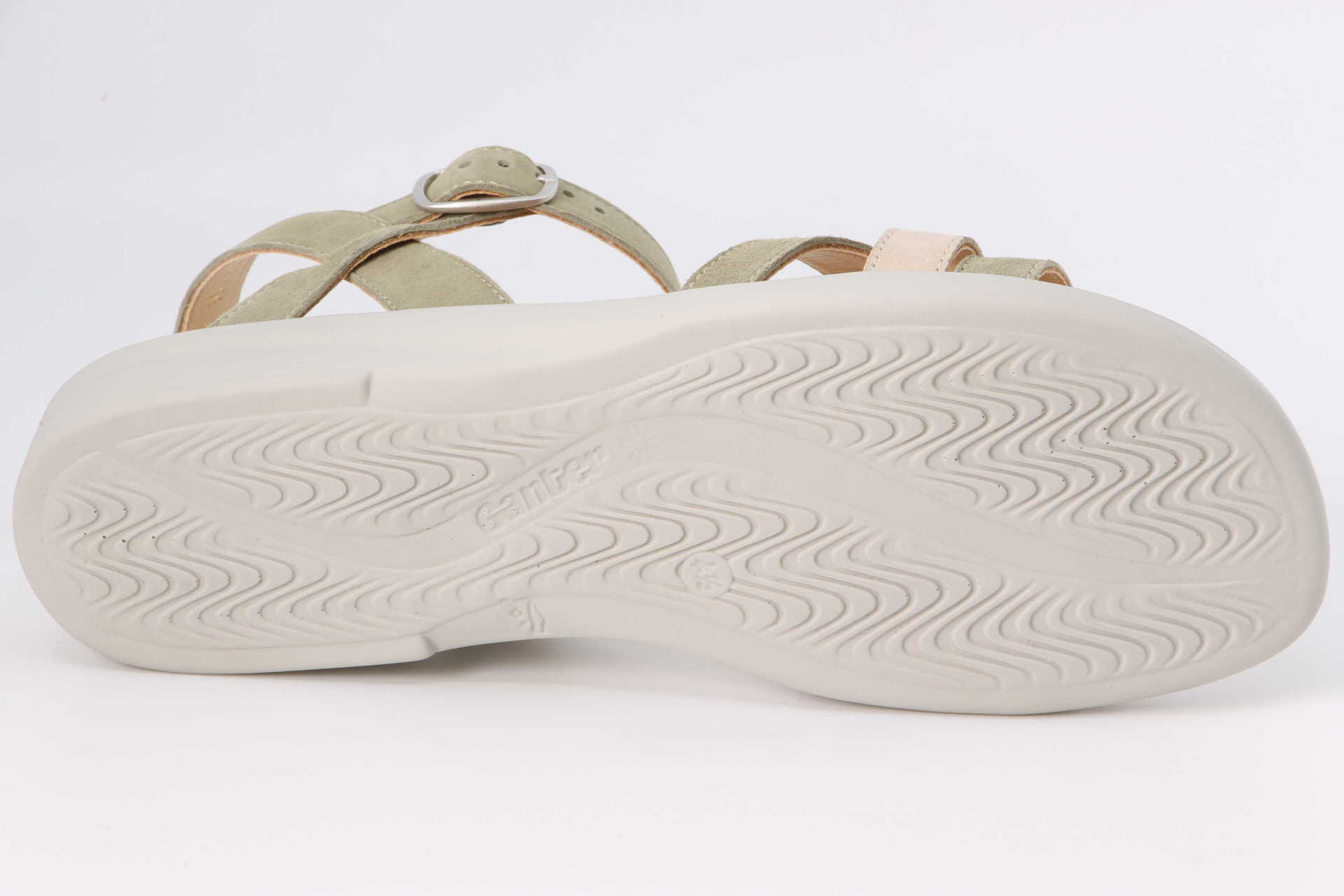 Sonnica salbei – Bild 3