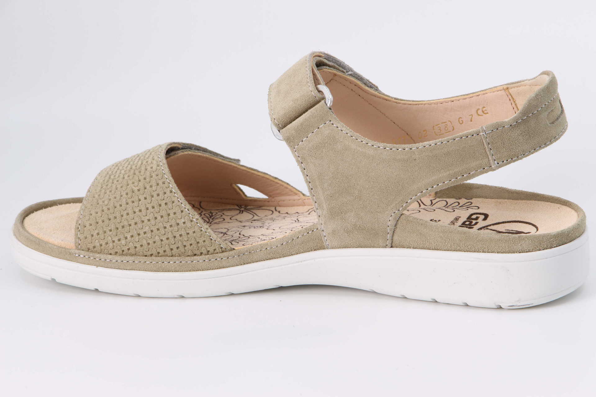 Gina salbei – Bild 2