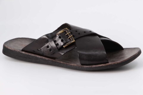 ATOLLO testa di moro