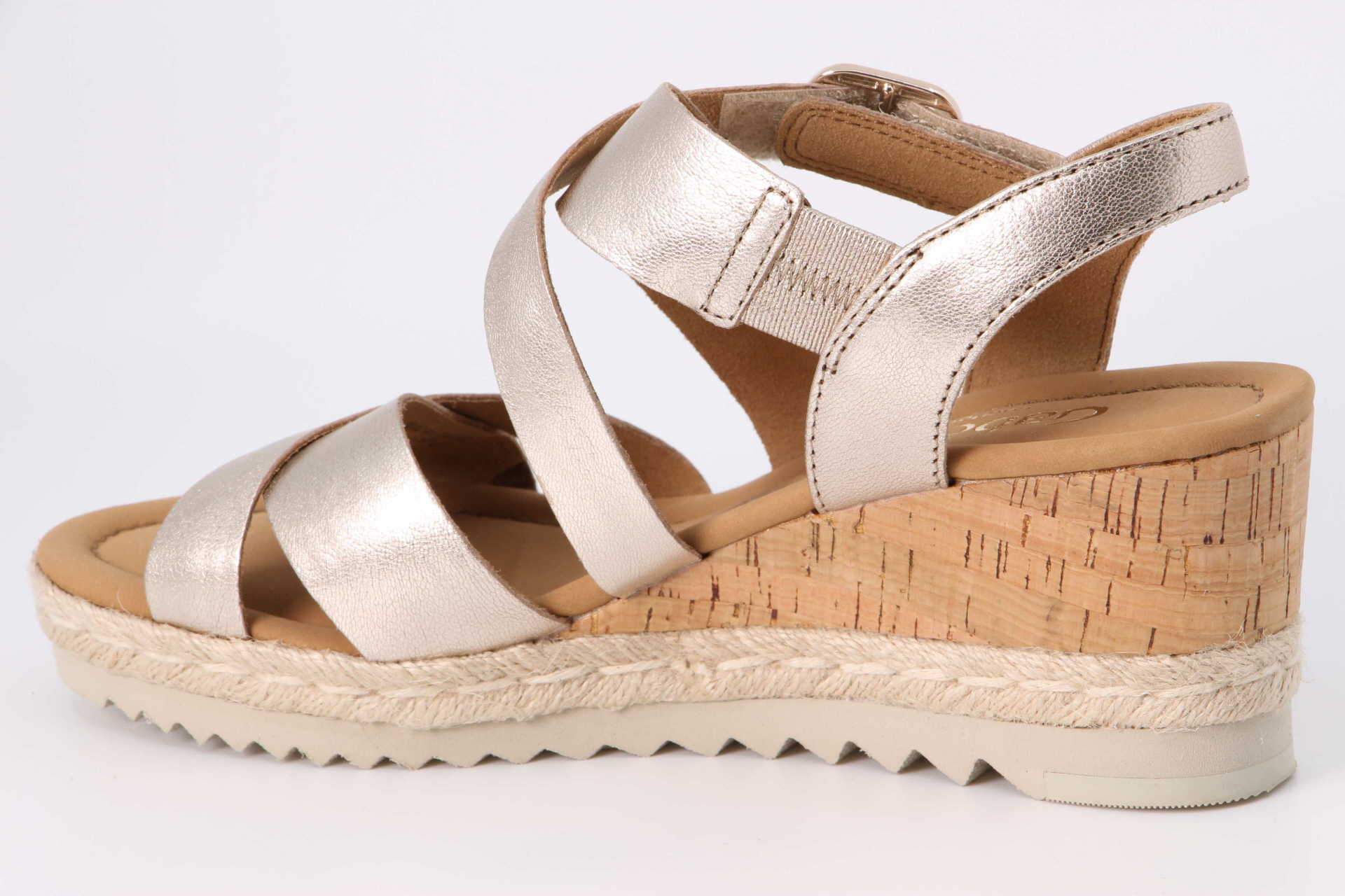 Tunis muschel – Bild 2