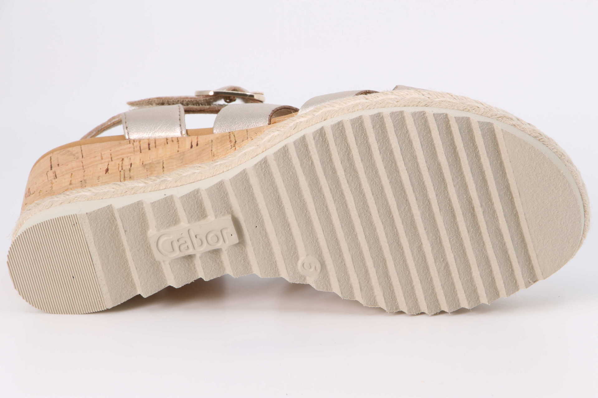 Tunis muschel – Bild 3