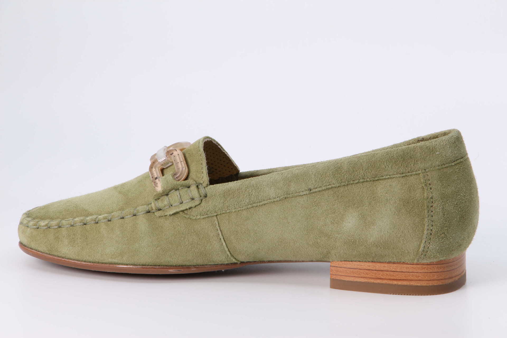 Cortizia papyrus – Bild 2