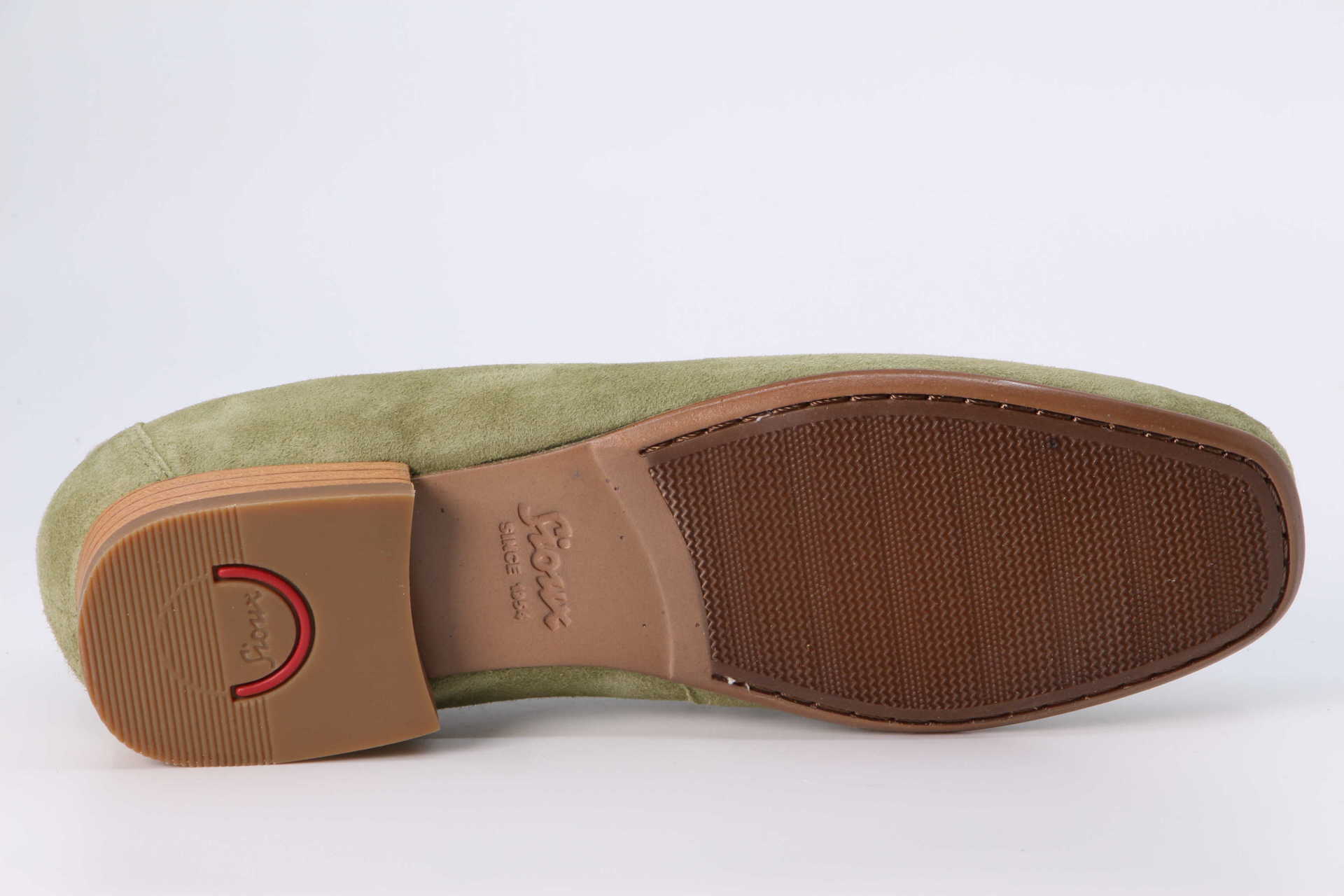 Cortizia papyrus – Bild 3