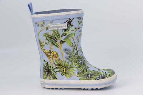 Charly high Tropical Forest