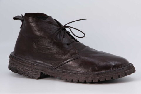 Combat testa di moro