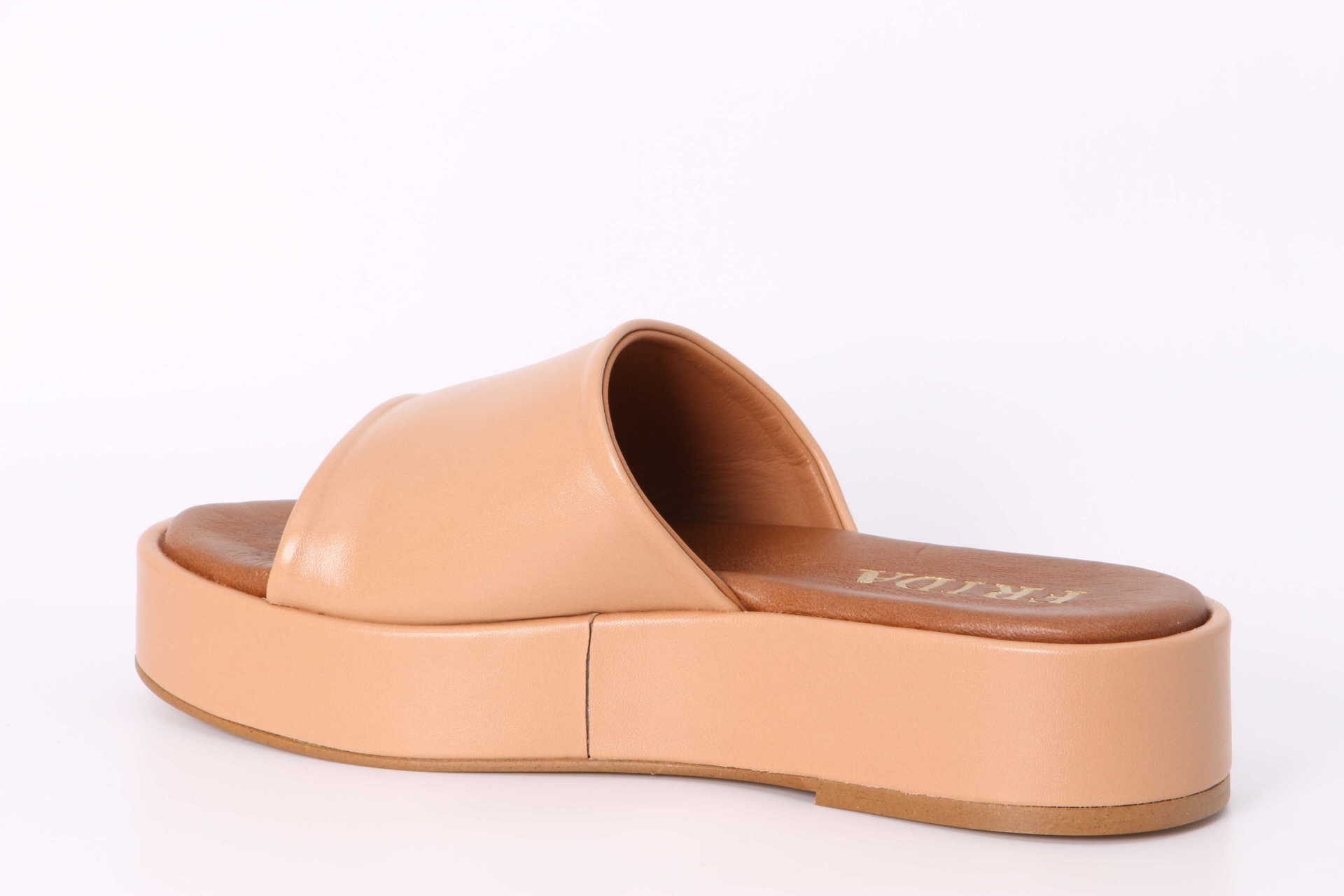 Balida tibet – Bild 2