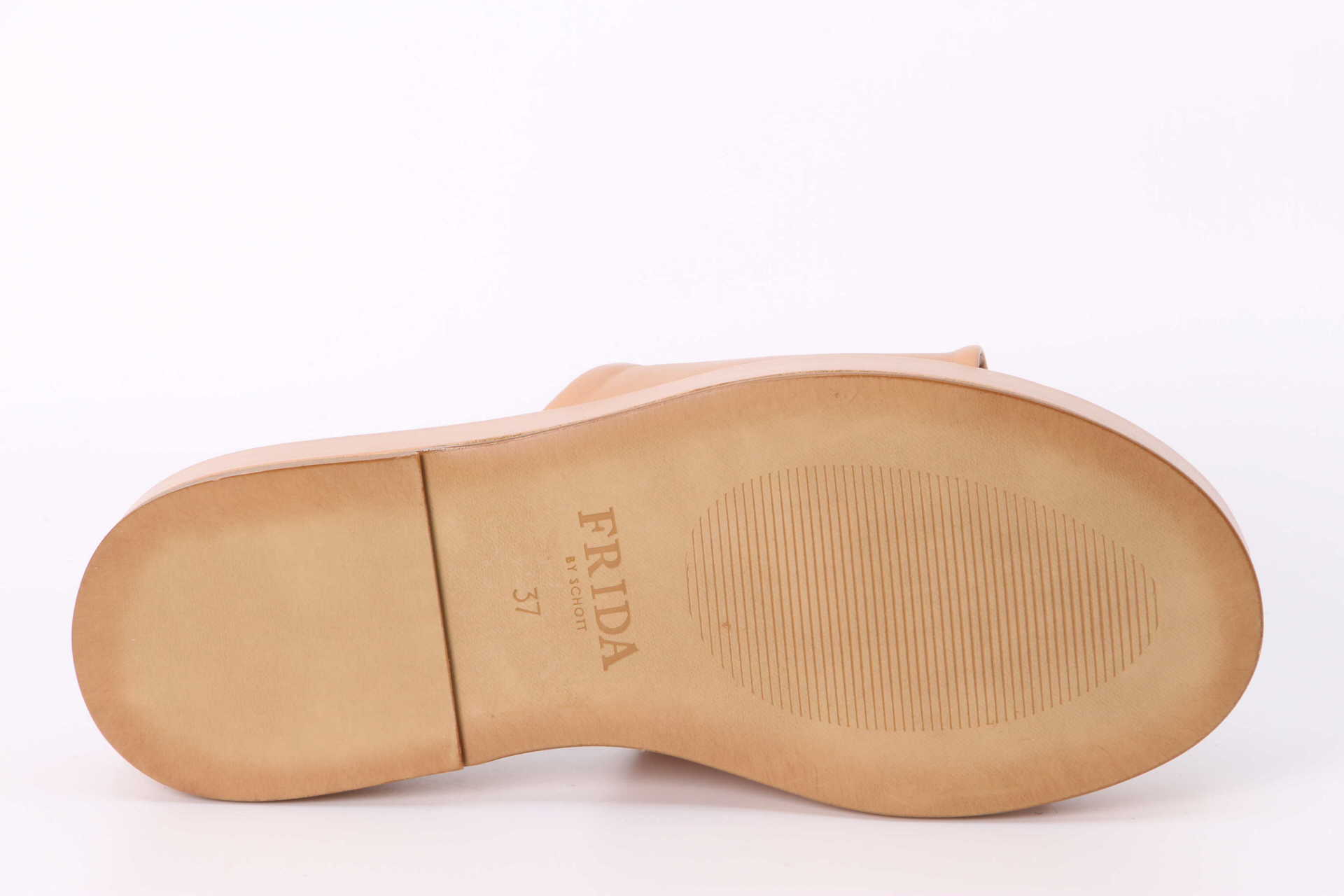 Balida tibet – Bild 3