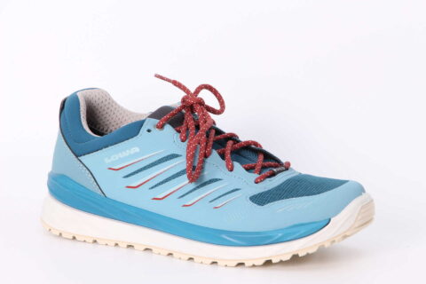 Axos GTX Lo Ws arktis / grape